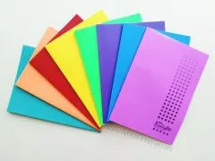 Defne Nebula 60 Yp. A4 Plastik Kapak Defter ( Çizgili ) 
